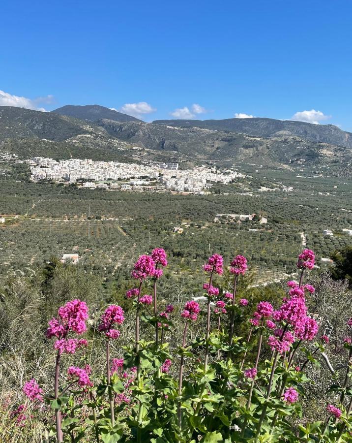 La Vie En Rose Mattinata Lägenhet Exteriör bild